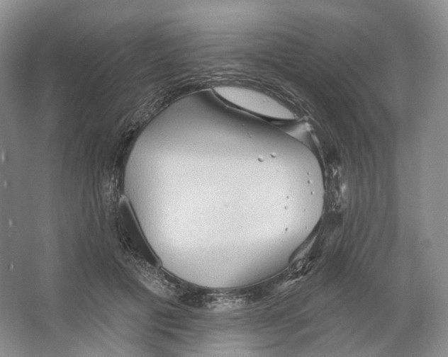 X0000066120601200603311537