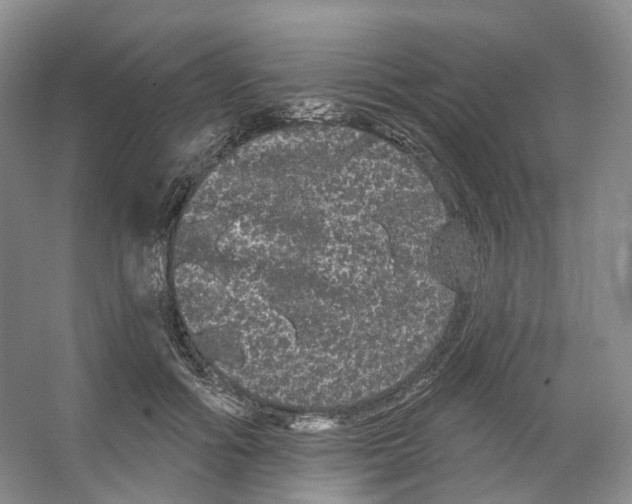 X0000066120602200603311537