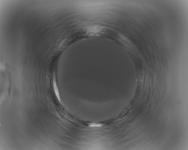 X0000066120603200603311537