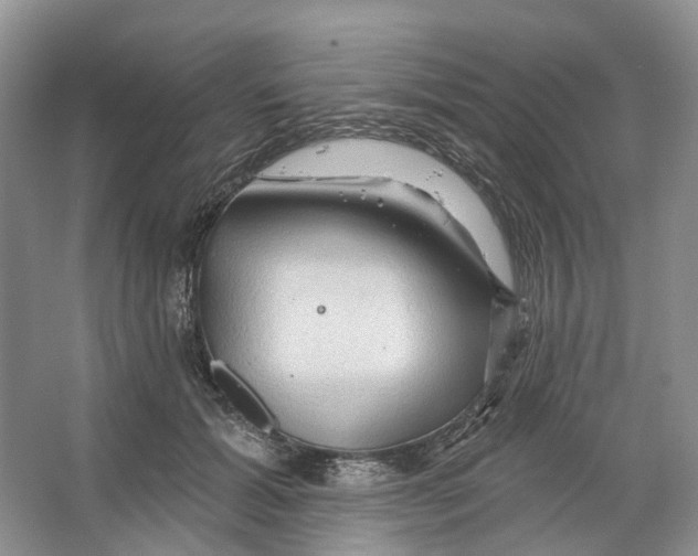 X0000066120605200603311537