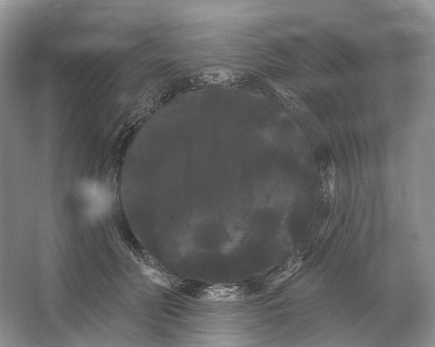 X0000066120606200603311537