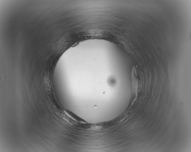 X0000066120609200603311537