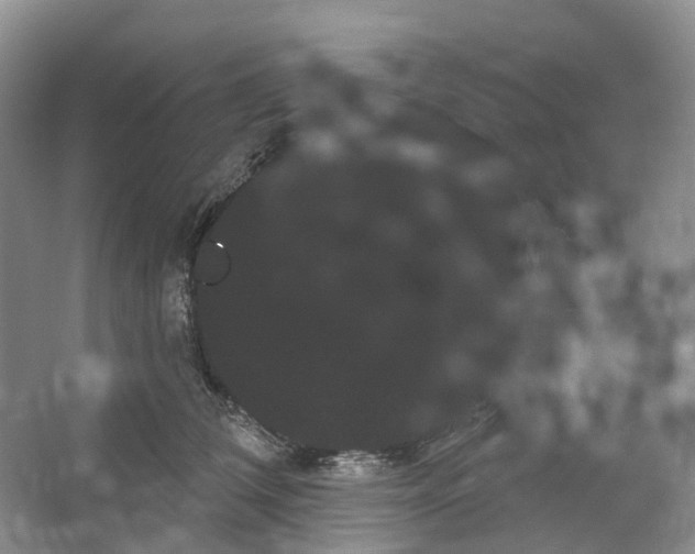 X0000066120612200603311537