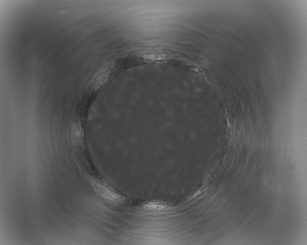 X0000066120614200603311537