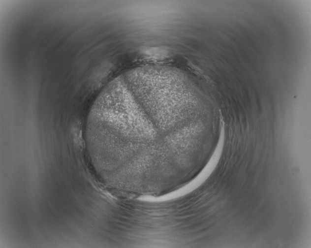 X0000066120615200603311537