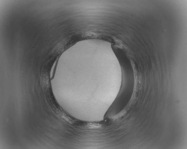 X0000066120617200603311537