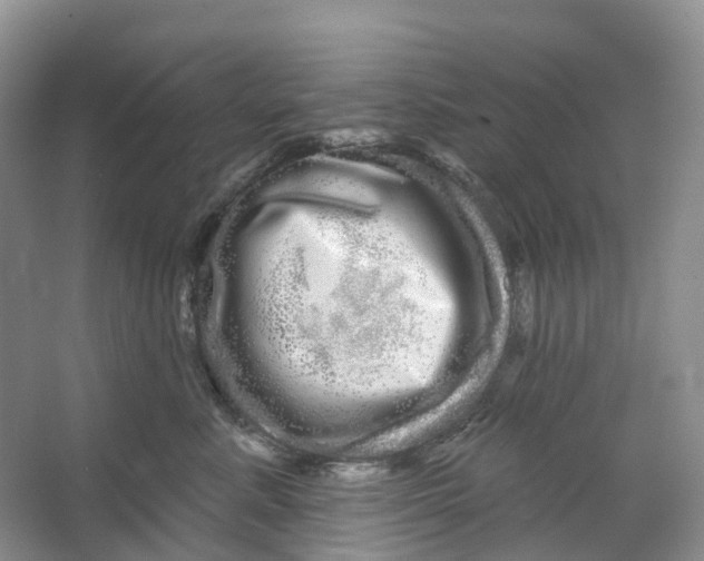 X0000066120619200603311537