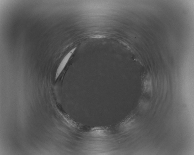 X0000066120620200603311537