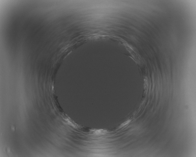 X0000066120621200603311537