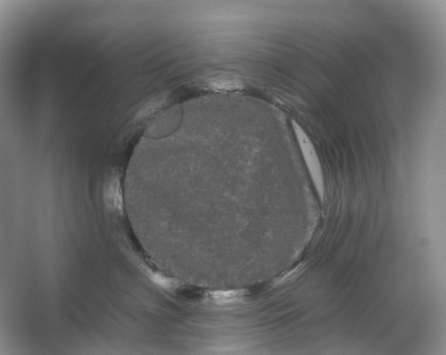 X0000066120622200603311537