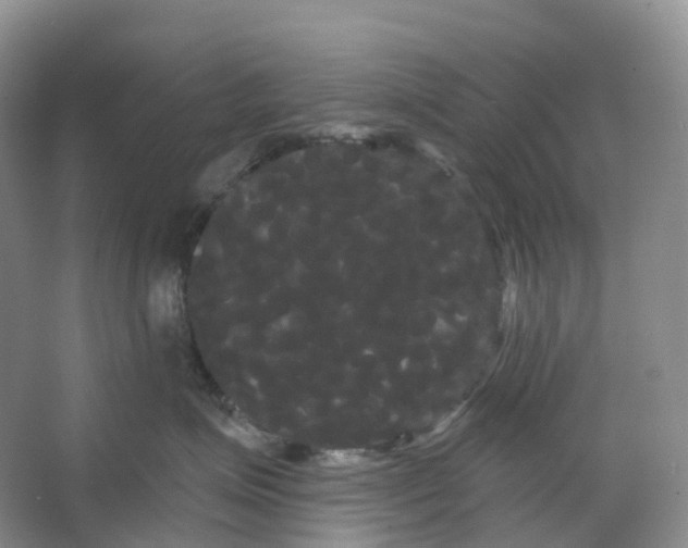 X0000066120623200603311537