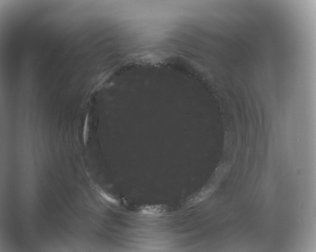 X0000066120624200603311537