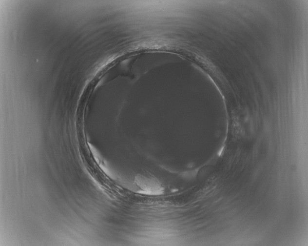 X0000066120626200603311536