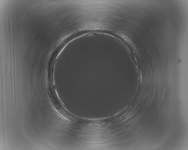 X0000066120627200603311536