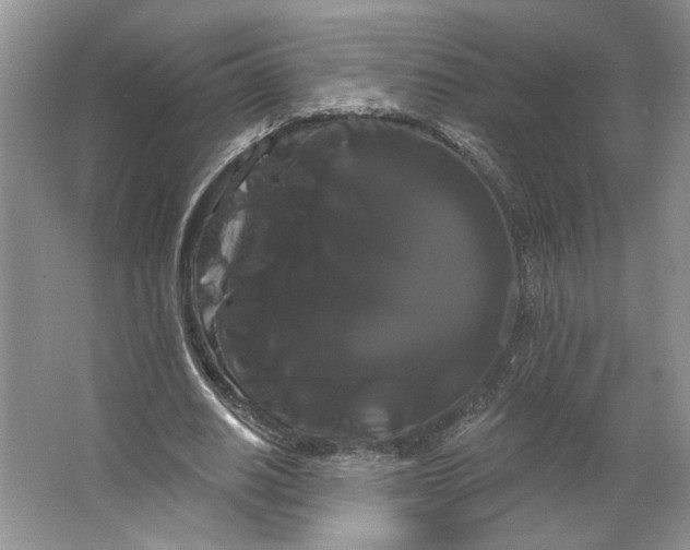 X0000066120630200603311536