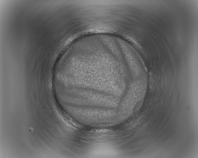 X0000066120631200603311536