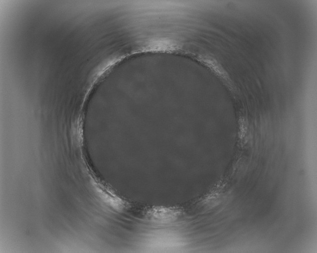 X0000066120632200603311536