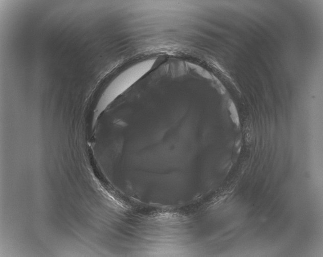 X0000066120637200603311536