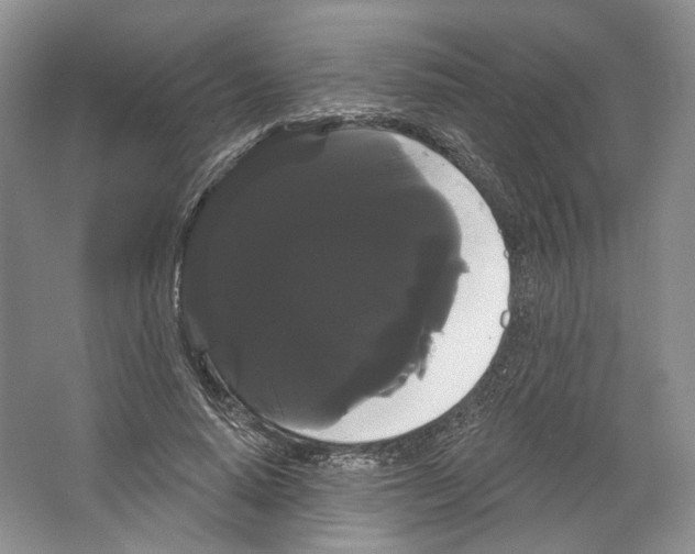 X0000066120640200603311536