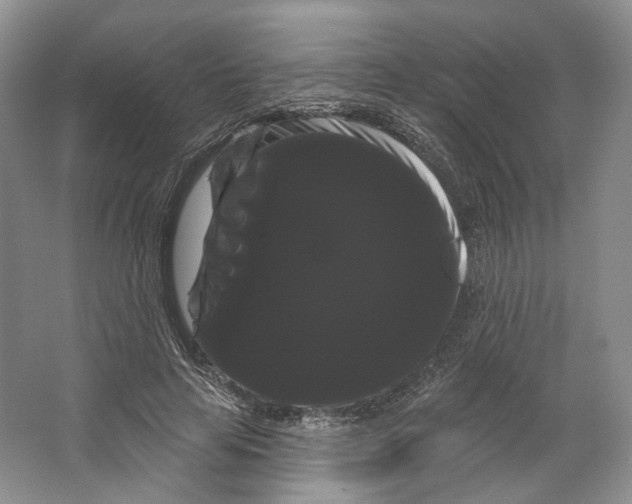 X0000066120641200603311537