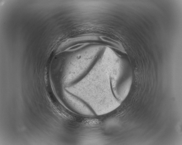 X0000066120642200603311537