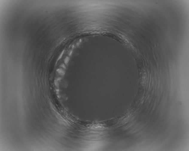 X0000066120643200603311537