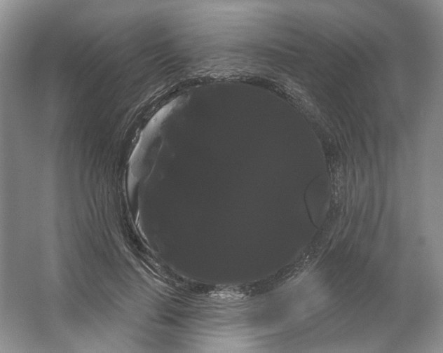 X0000066120644200603311537