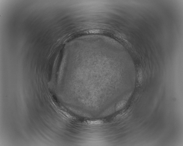 X0000066120645200603311537