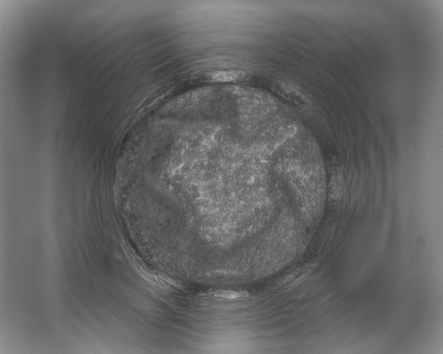 X0000066120646200603311537