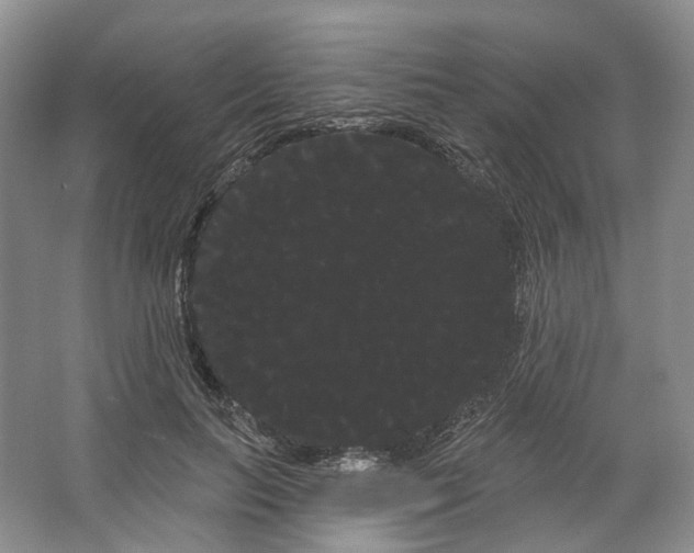 X0000066120647200603311537