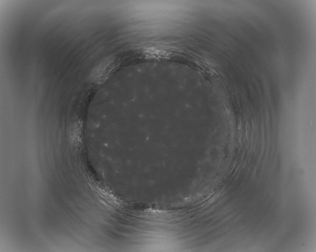 X0000066120649200603311537