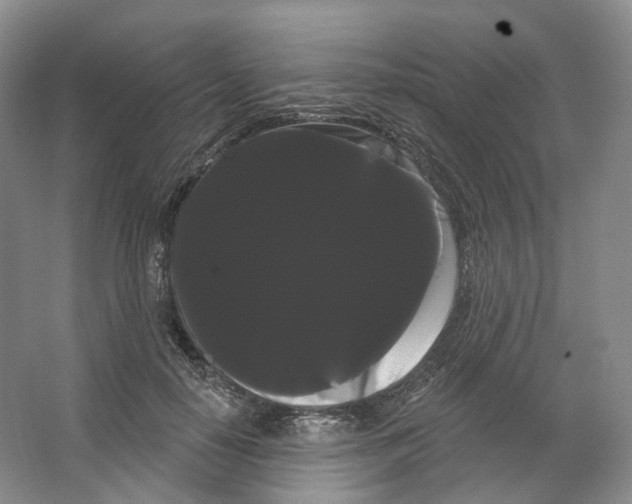 X0000066120650200603311537