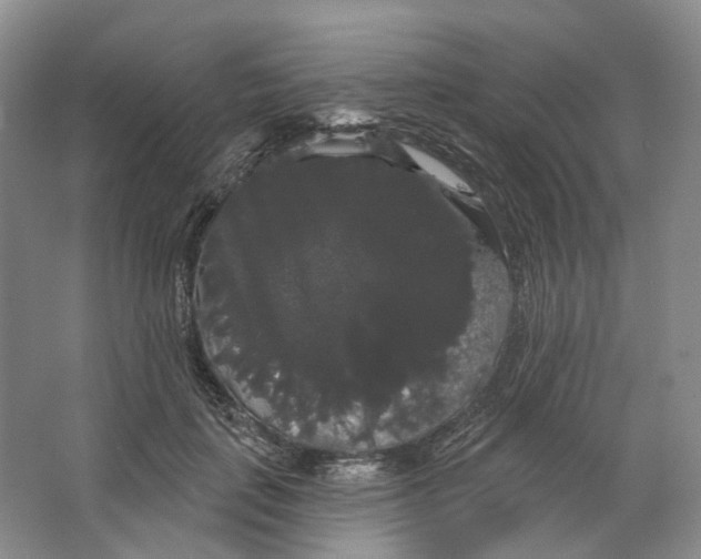 X0000066120651200603311537