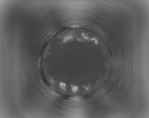 X0000066120652200603311537