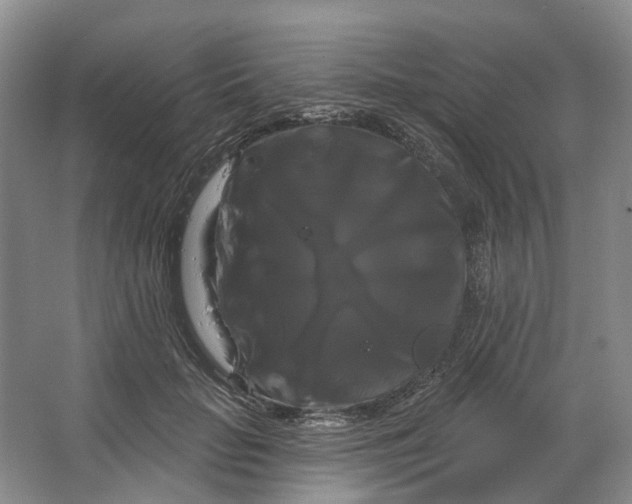 X0000066120653200603311537