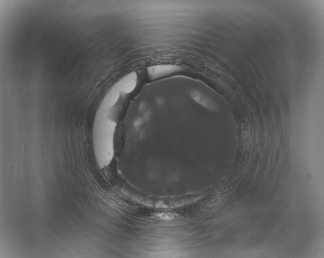 X0000066120654200603311537