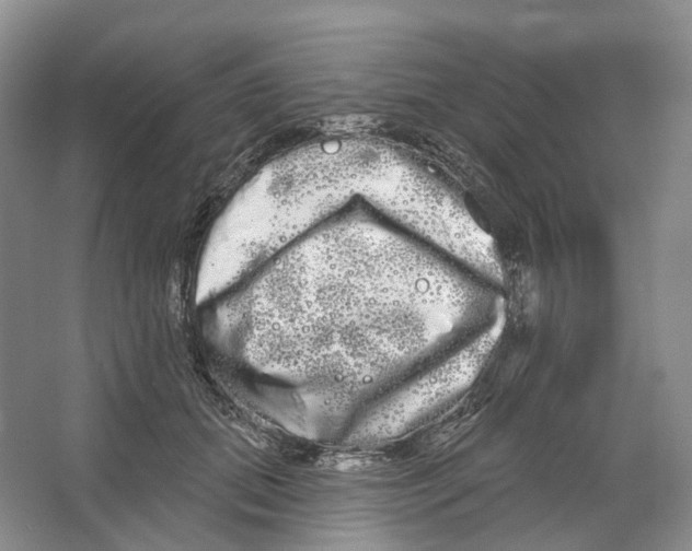 X0000066120655200603311537