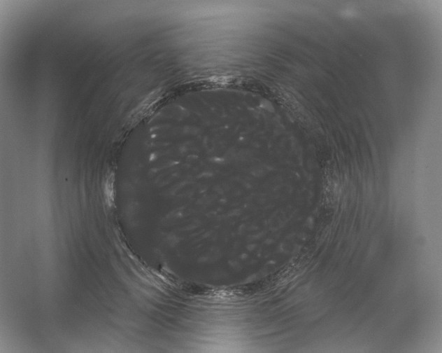 X0000066120656200603311537