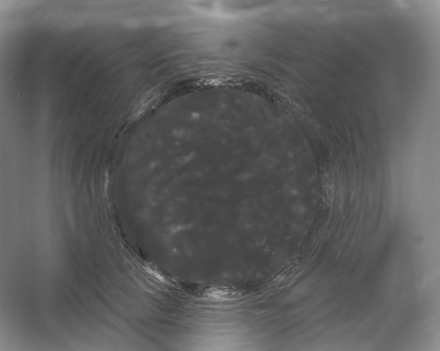 X0000066120657200603311537