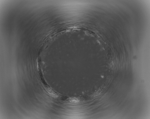 X0000066120658200603311537