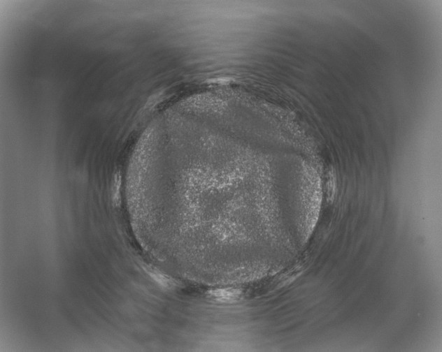 X0000066120660200603311537