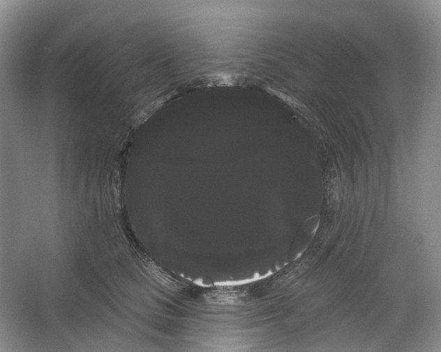 X0000066120661200603311537