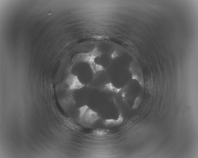 X0000066120662200603311537