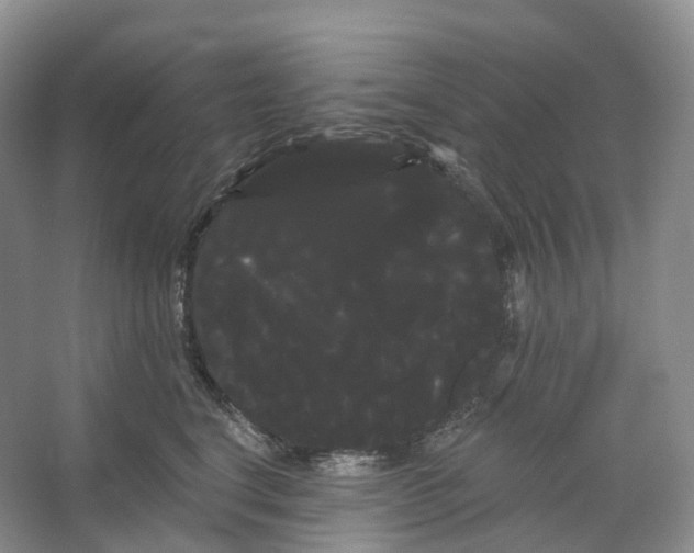 X0000066120664200603311537