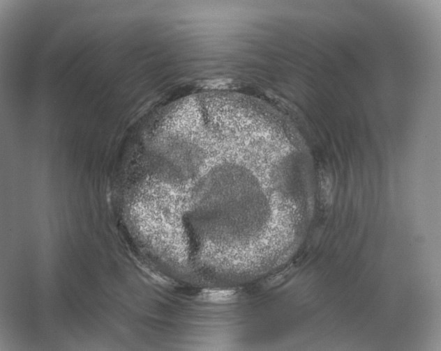 X0000066120665200603311537