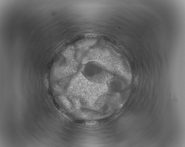 X0000066120666200603311537