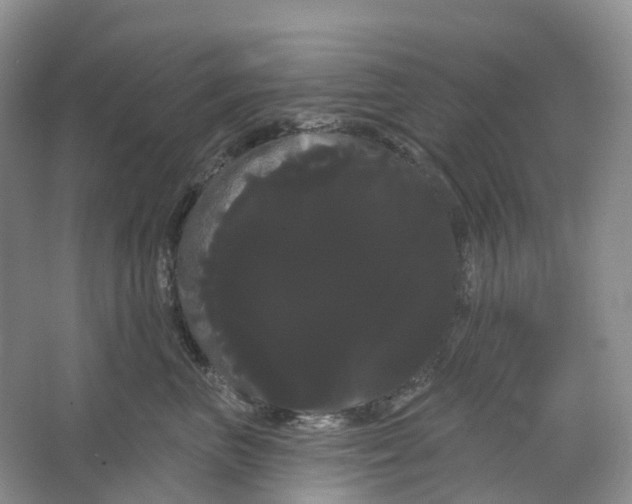 X0000066120667200603311537