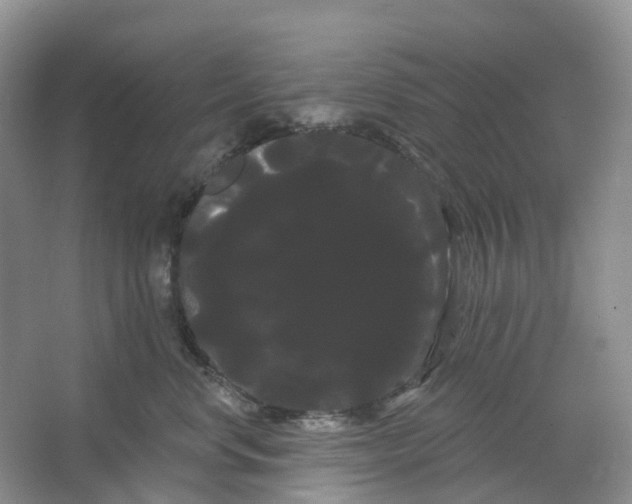 X0000066120668200603311537