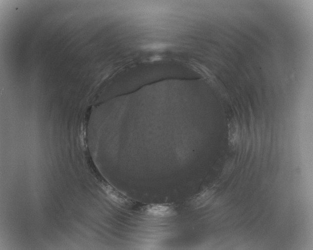 X0000066120669200603311537