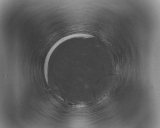 X0000066120671200603311537